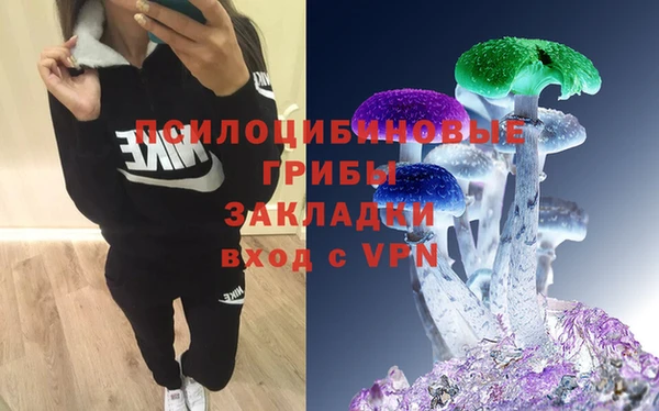 амф Алексеевка