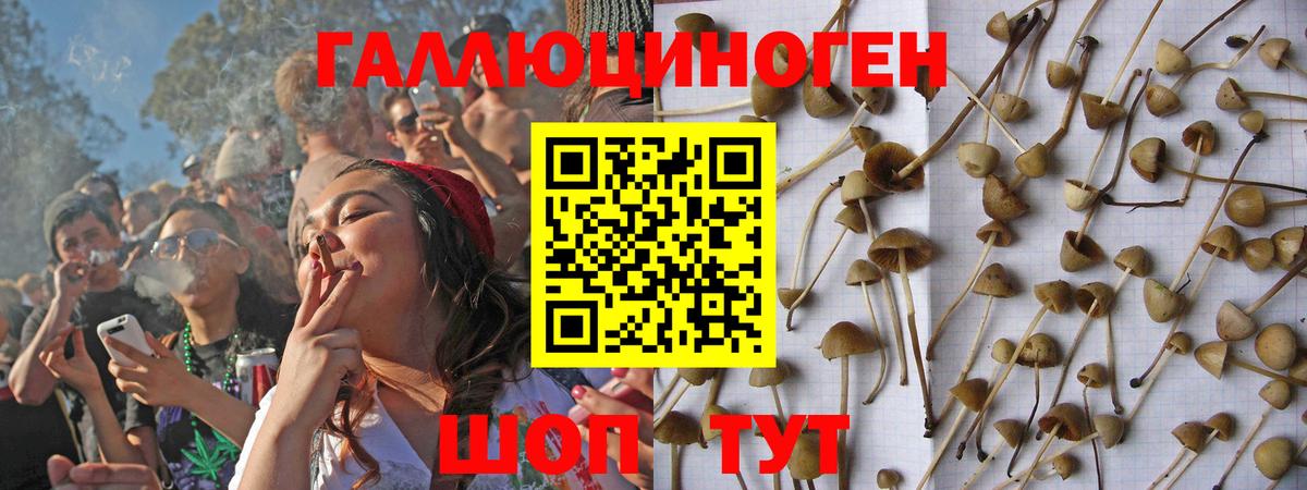 Галлюциногенные грибы GOLDEN TEACHER Муравленко