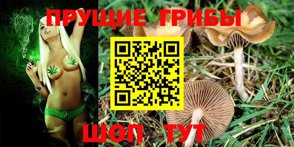 Конопля Муравленко