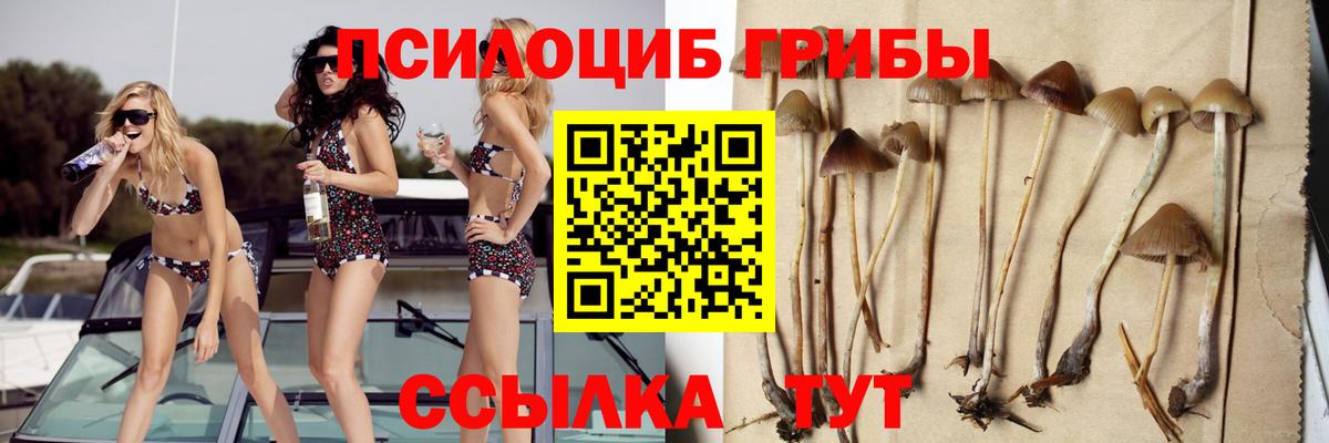 Муравленко  Галлюциногенные грибы ЛСД  Вход с VPN 